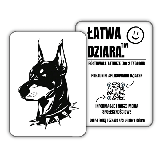 Duży Doberman z Kolcami