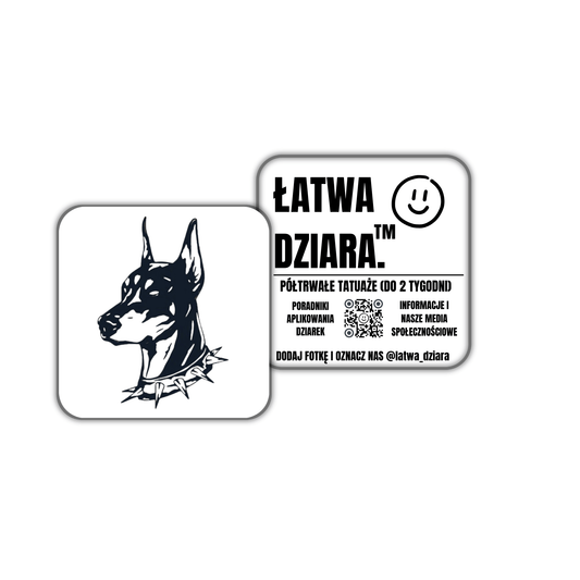 Doberman z Kolcami
