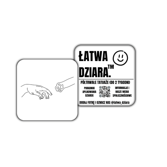 Stworzenie Kiciusia